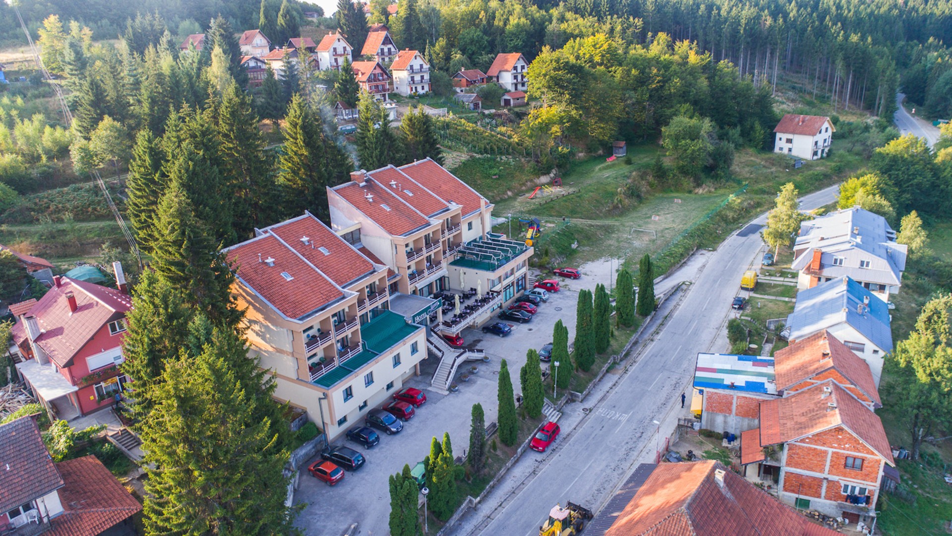 Javor